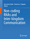 Non-coding RNAs and Interkingdom Interactions